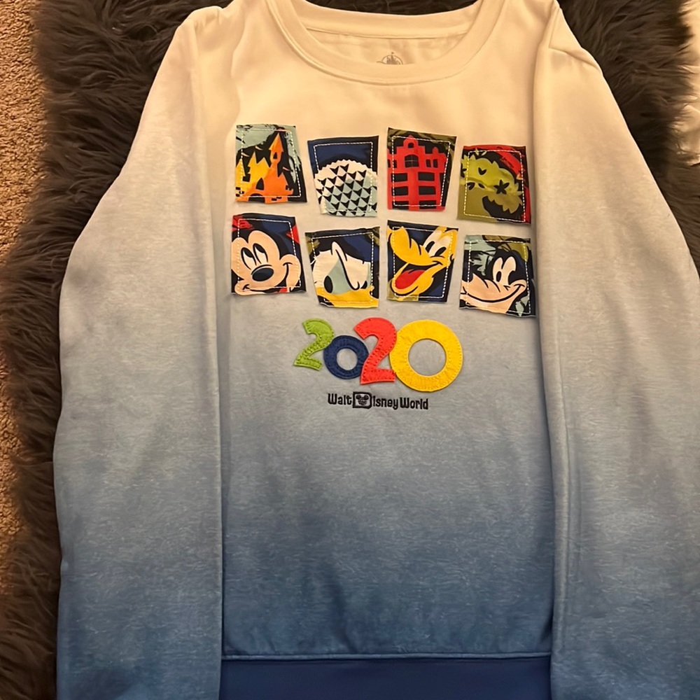 Disney World Sweatshirt